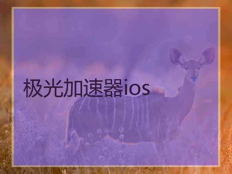 极光加速器ios